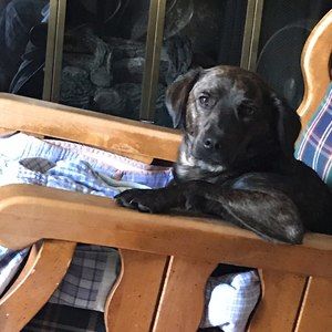 Meet your Posher, Judith